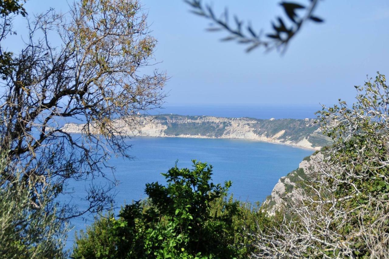 Villa Meli Afionas Corfu Luaran gambar